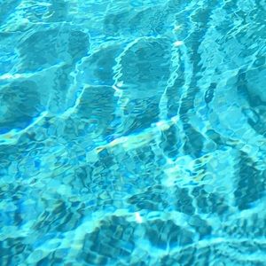 Meet your Posher, Bellalisa